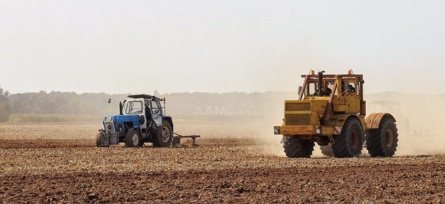 Акмолинские хлеборобы засеяли свыше 1 млн гектар зерновых и зернобобовых